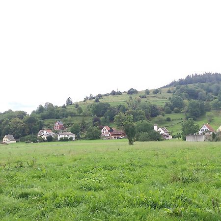 Les Studios Du Frankenthal Stosswihr Εξωτερικό φωτογραφία