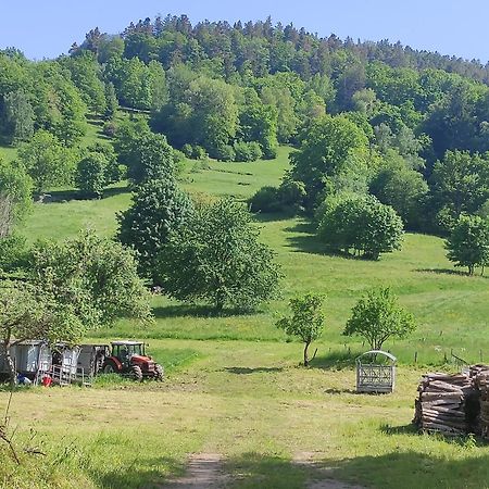 Les Studios Du Frankenthal Stosswihr Εξωτερικό φωτογραφία