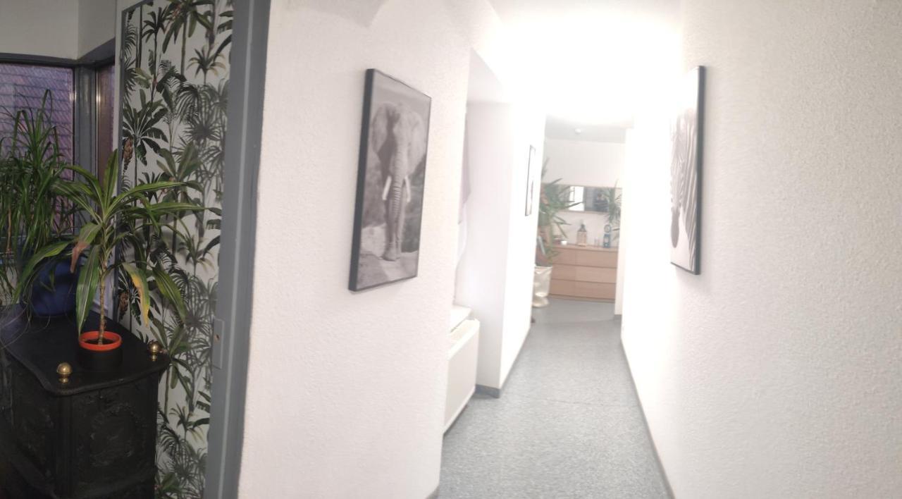 Les Studios Du Frankenthal Stosswihr Εξωτερικό φωτογραφία