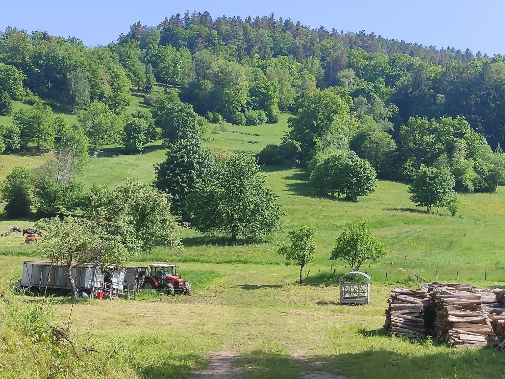Les Studios Du Frankenthal Stosswihr Εξωτερικό φωτογραφία