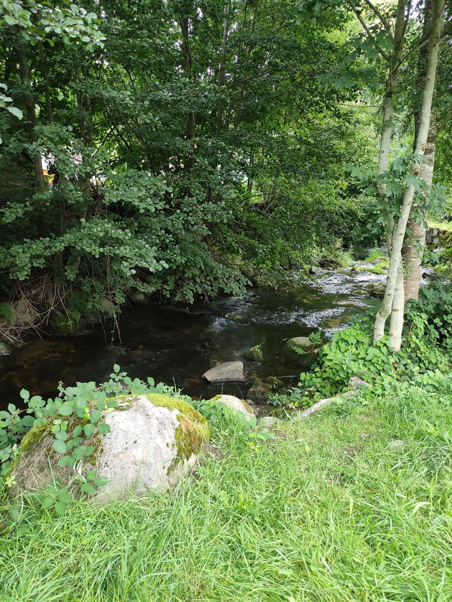 Les Studios Du Frankenthal Stosswihr Εξωτερικό φωτογραφία