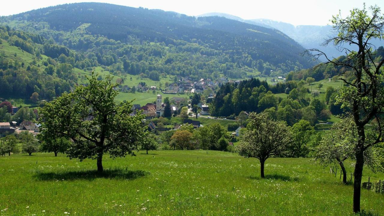 Les Studios Du Frankenthal Stosswihr Εξωτερικό φωτογραφία