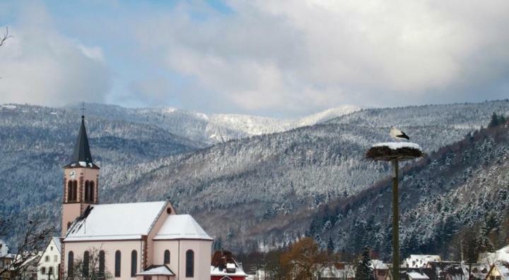 Les Studios Du Frankenthal Stosswihr Εξωτερικό φωτογραφία